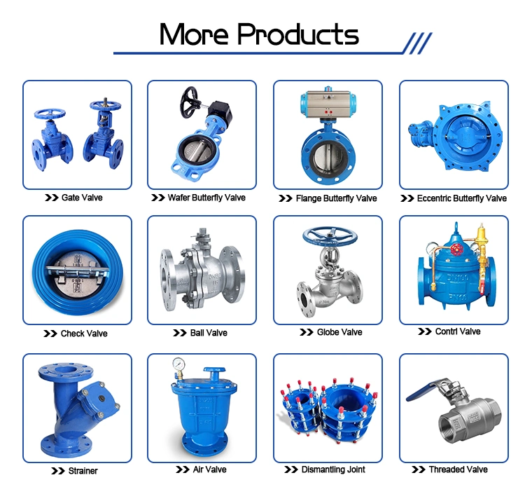 Pn16 Duction Cast Iron Body Flang Silence Double Plate Swing Lift Ball Type Non Return Valve Check Valve