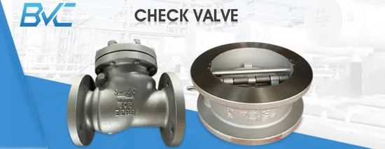 Cast Iron Ductile Iron ANSI150 Pn16 Dual Plate Wafer Check Valve with Ss Disc 