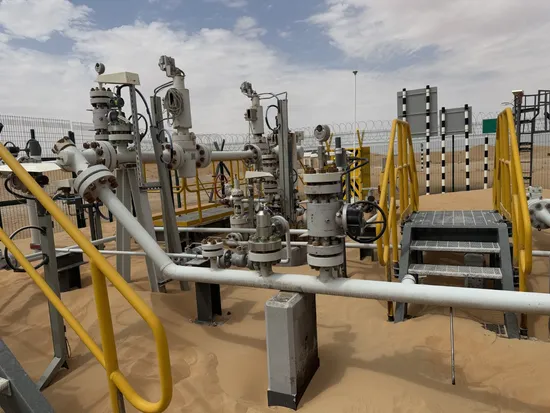 API6a Electric Choke Gate Valve for Reliable Oil and Gas Regulation 