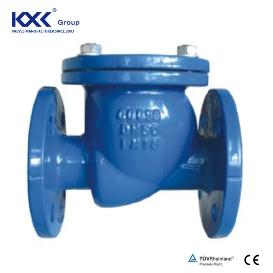 Pn16 Duction Cast Iron Body Flang Silence Double Plate Swing Lift Ball Type Non Return Valve Check Valve 