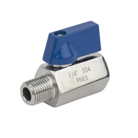 Water Fittings Mini Ball Valve Double Male Thread with Stainless Steel Handle